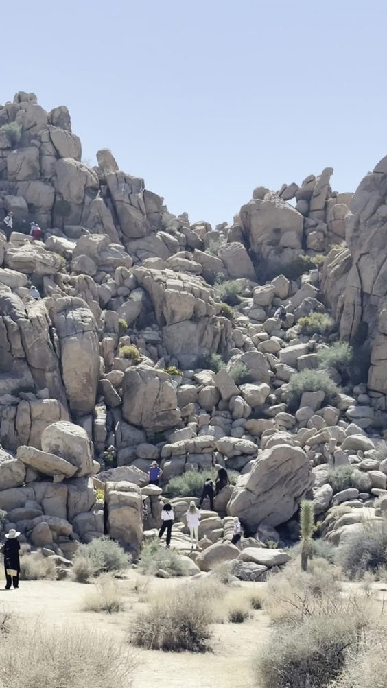 Joshua Tree National Park North Entrance Station