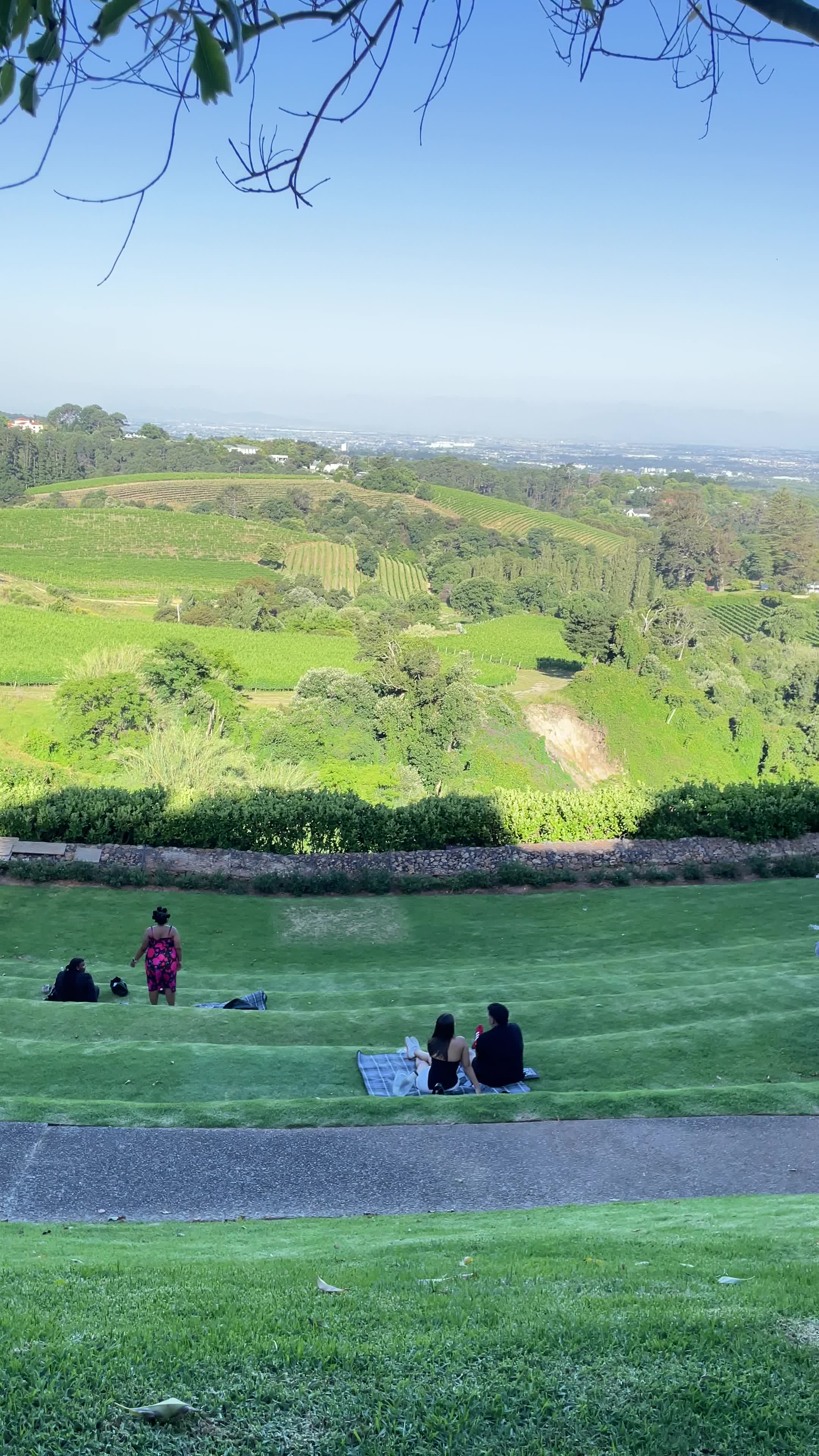 Beau Constantia