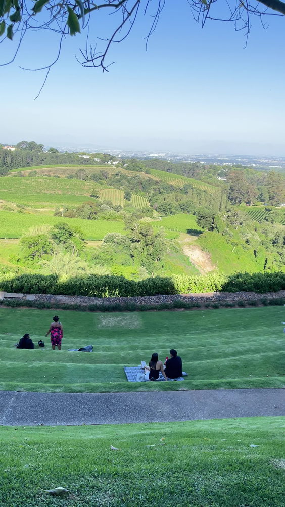 Beau Constantia