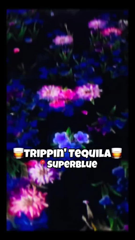 Superblue Miami