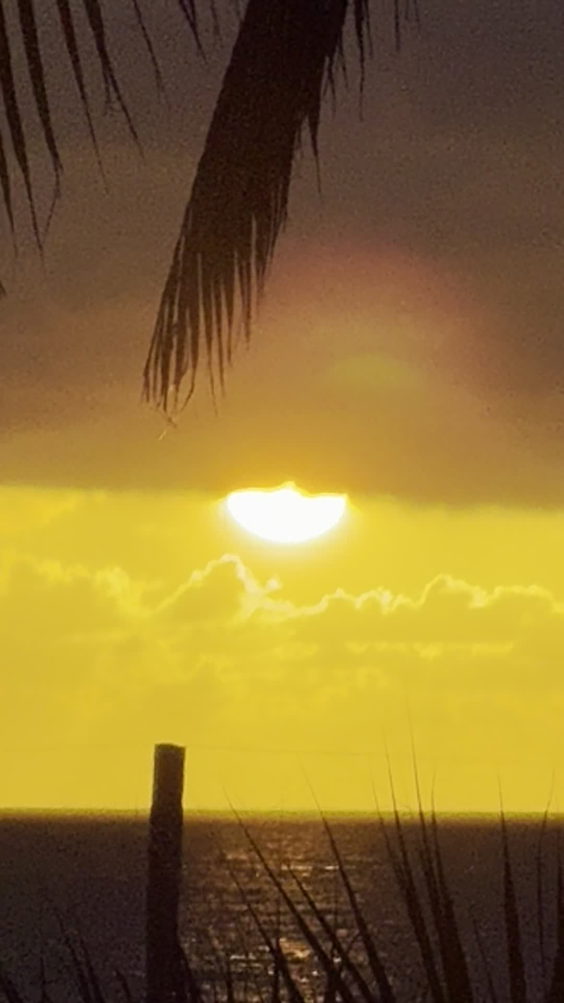 City Moment · Miami
