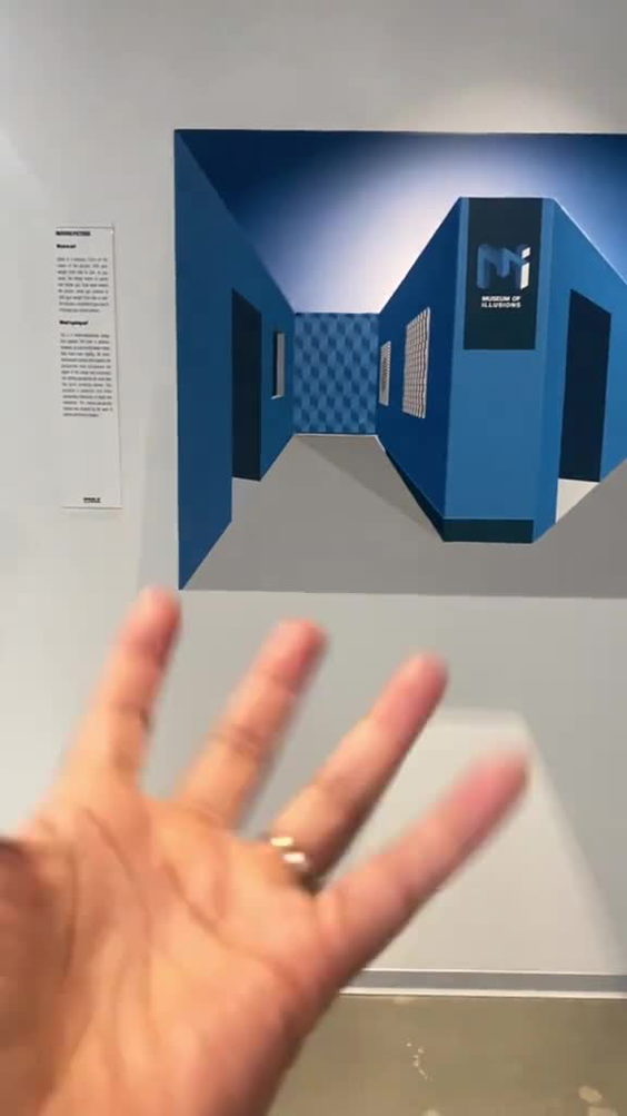 The Museum of Illusions
