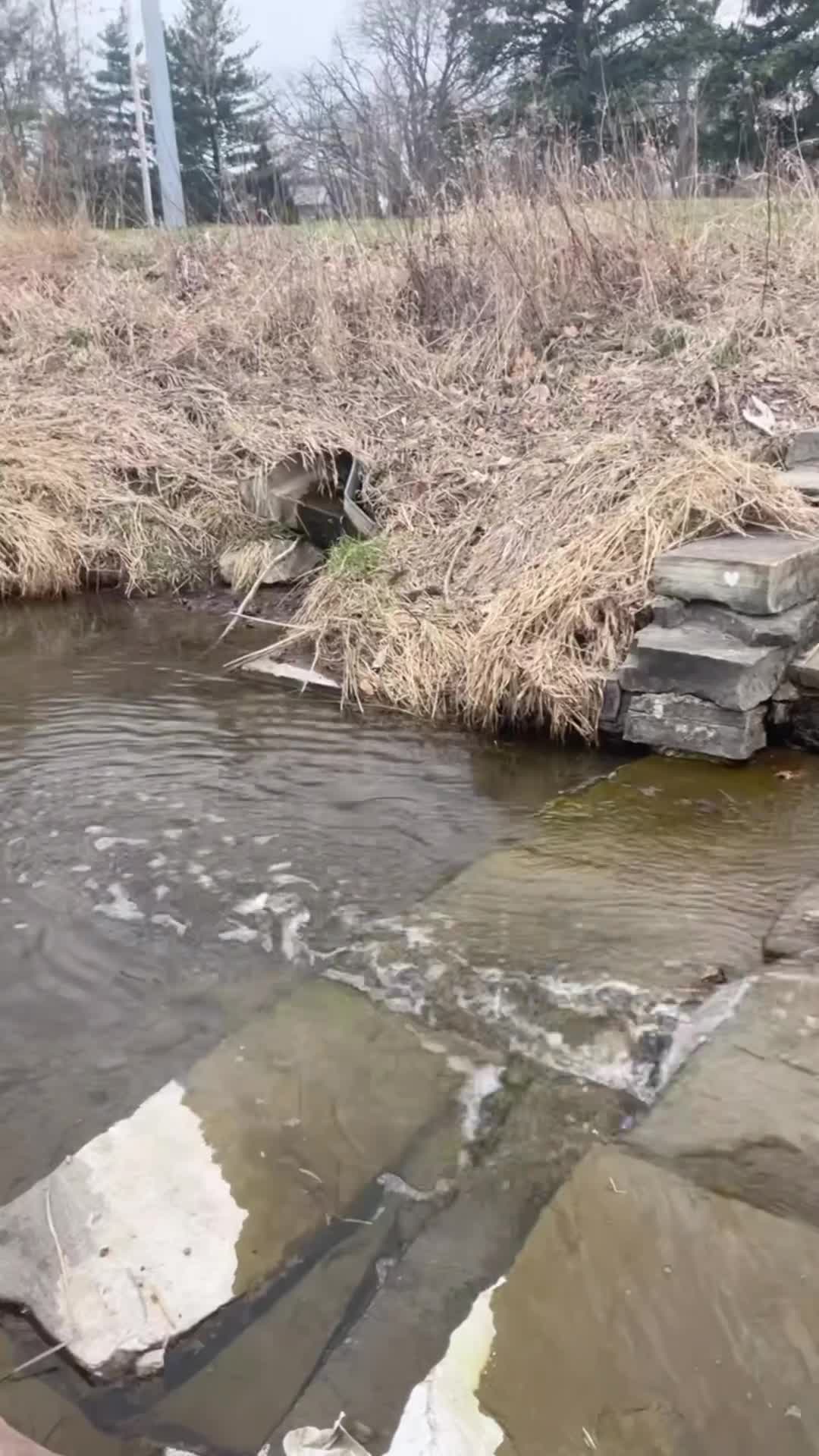 Fairview Park & Aquatic Center