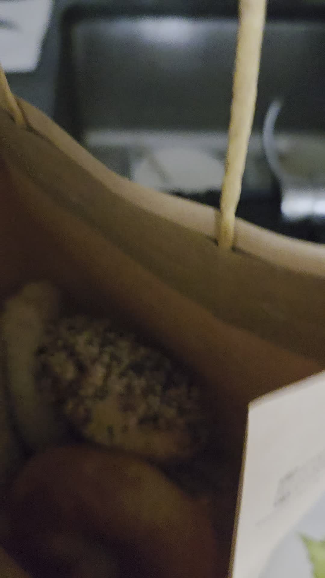 Popup Bagels