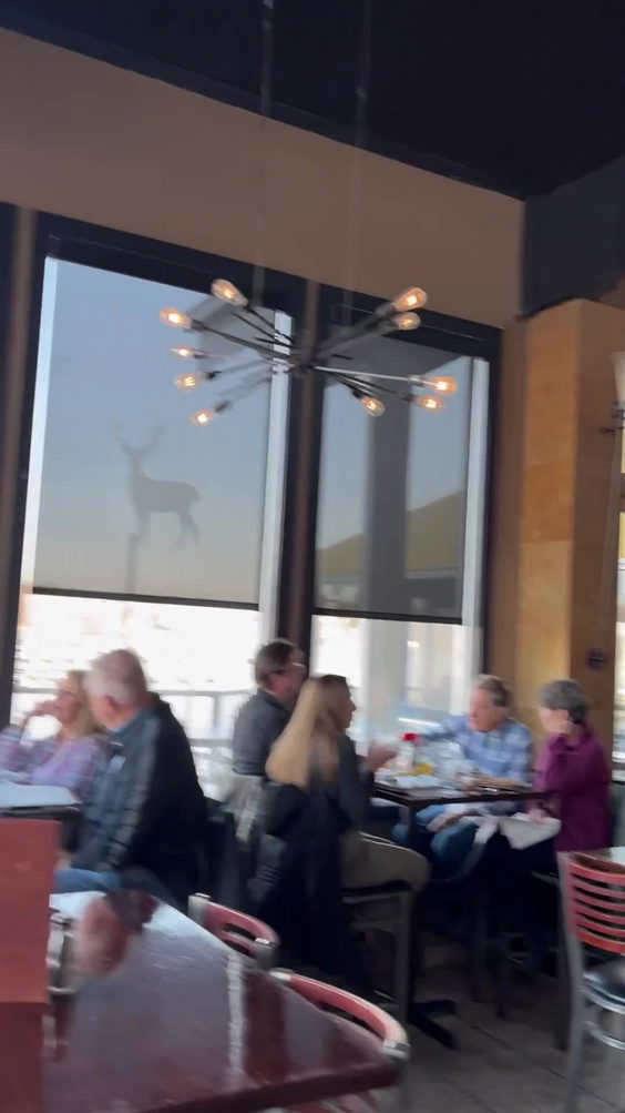 Wolfie’s Northern Woods Grill