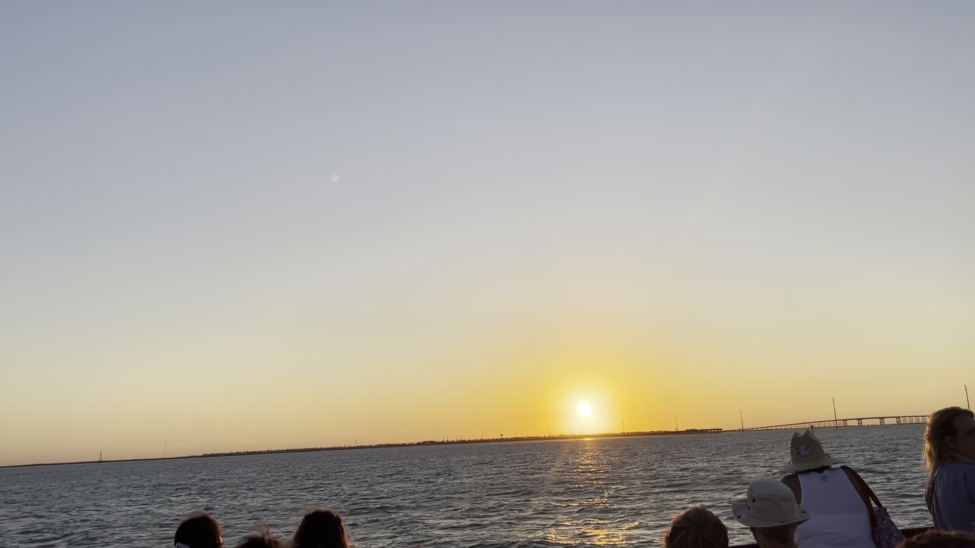 Original Dolphin Watch