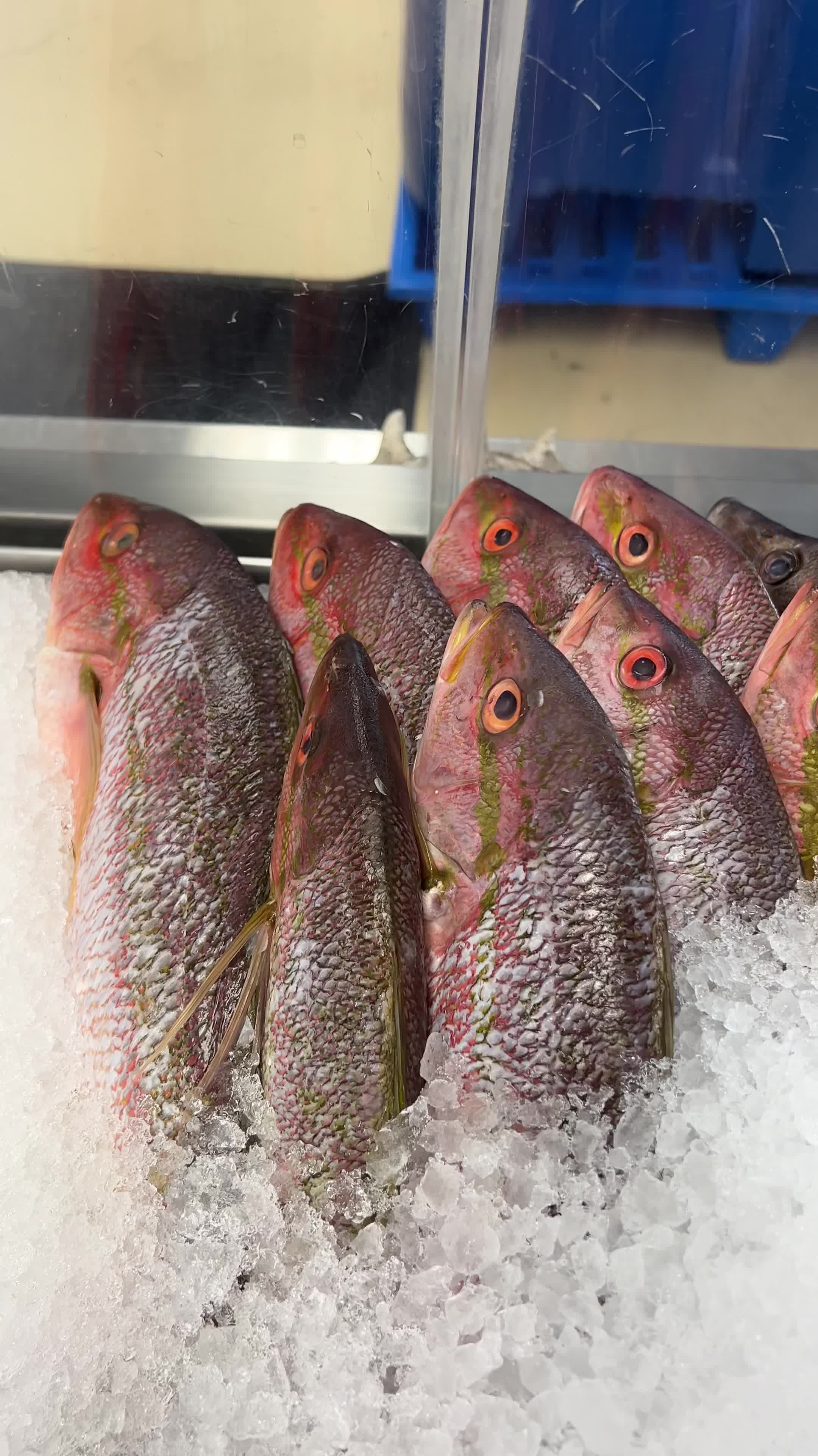 Best Seafood Direct