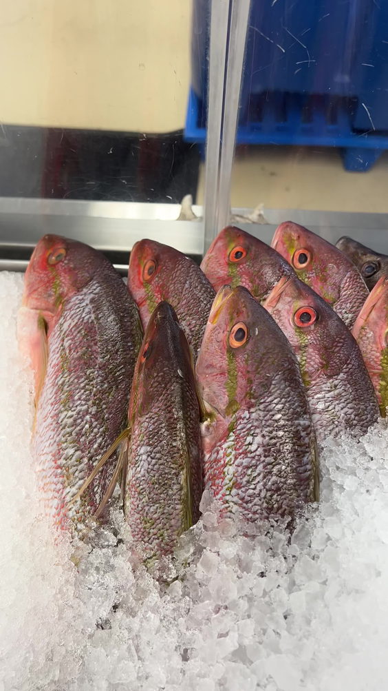 Best Seafood Direct