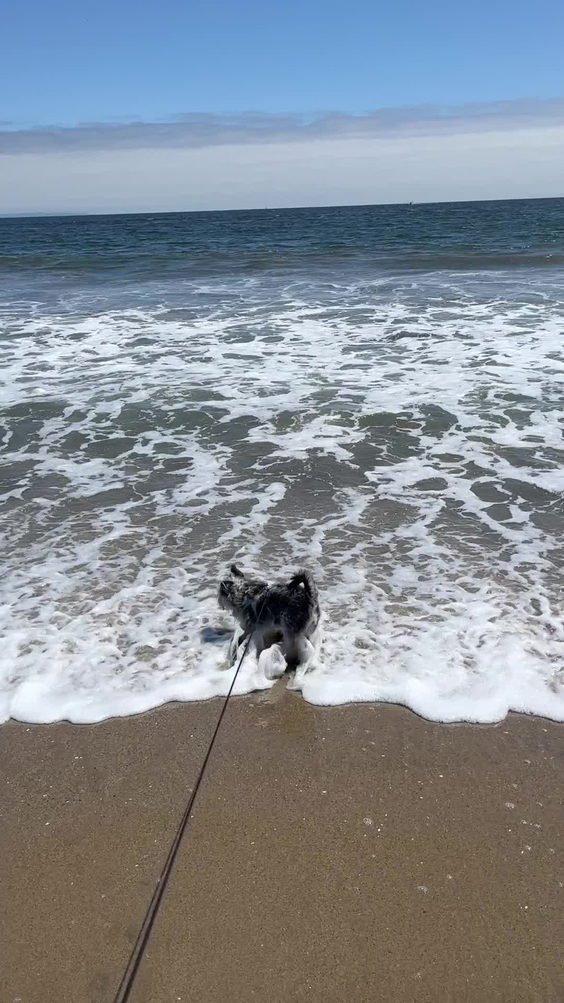 Seabright State Beach
