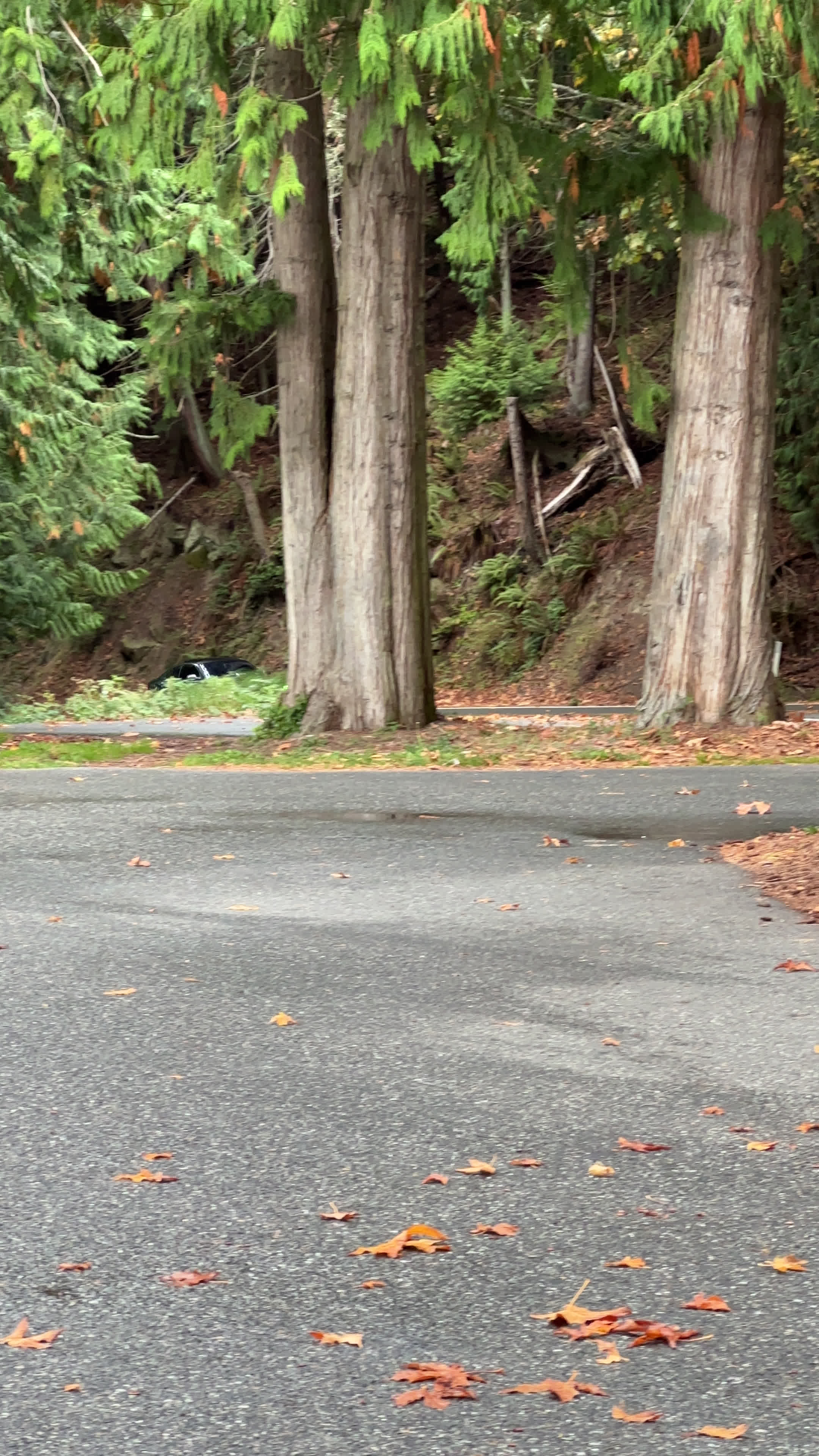 Chuckanut Dr view point