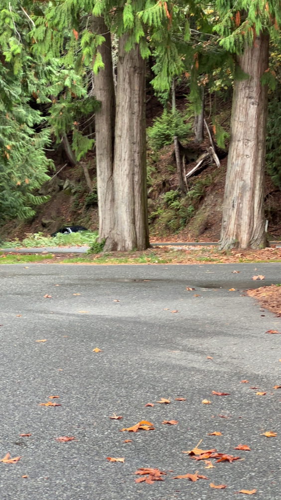 Chuckanut Dr view point
