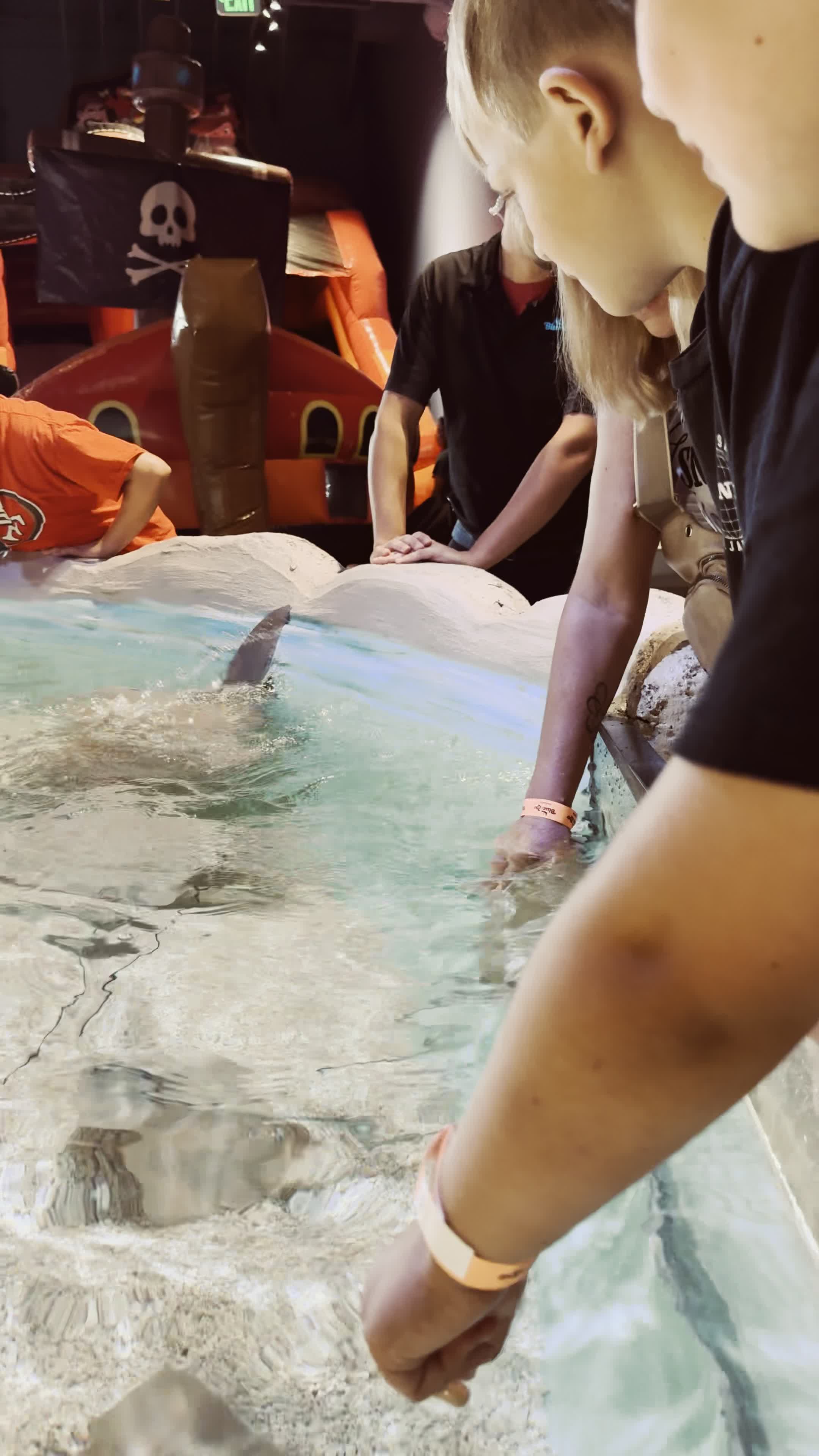 Video review of Buffalo Wild Wings