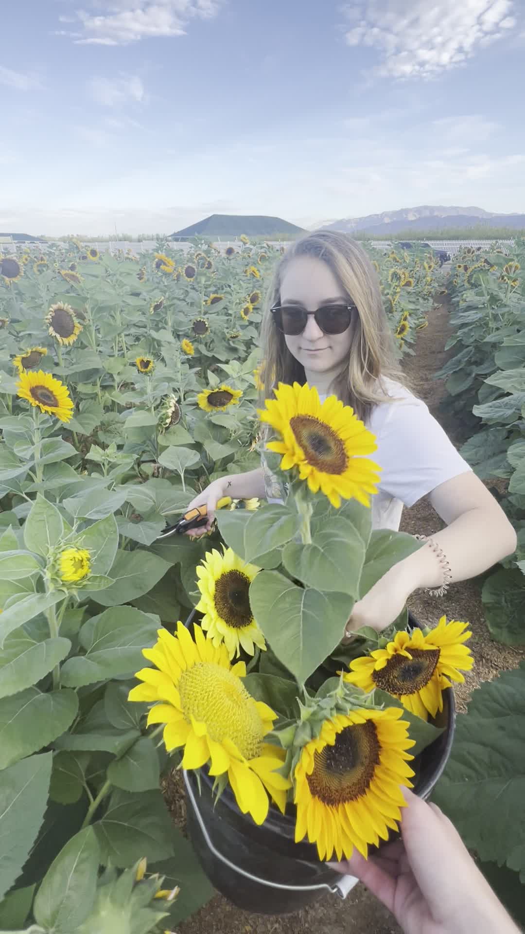 Gilcrease Orchard