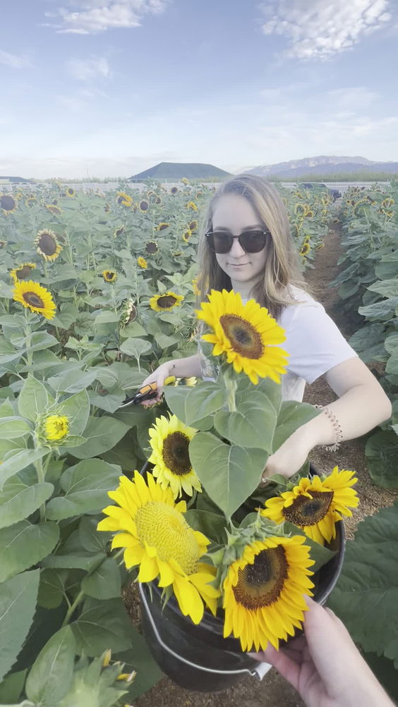 Gilcrease Orchard