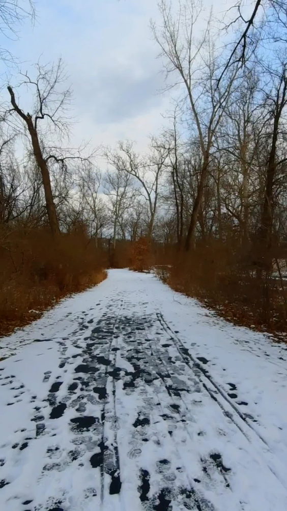 Cayuga Waterfront Trail