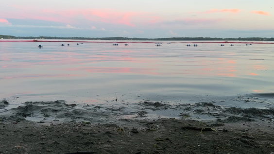 B.B. Clarke Beach