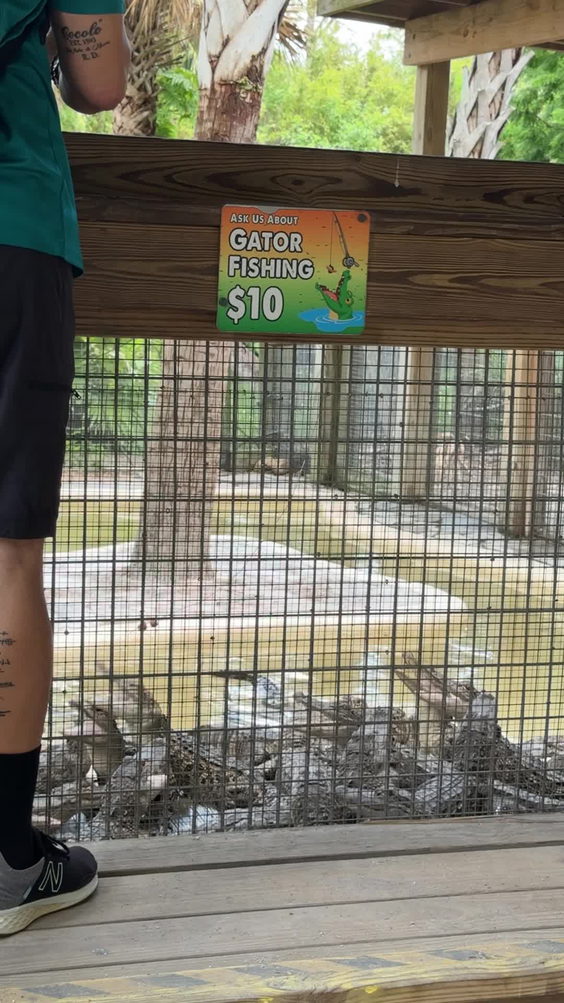 Gator Pit