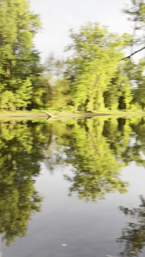 Davis Creek at the Kalamazoo River