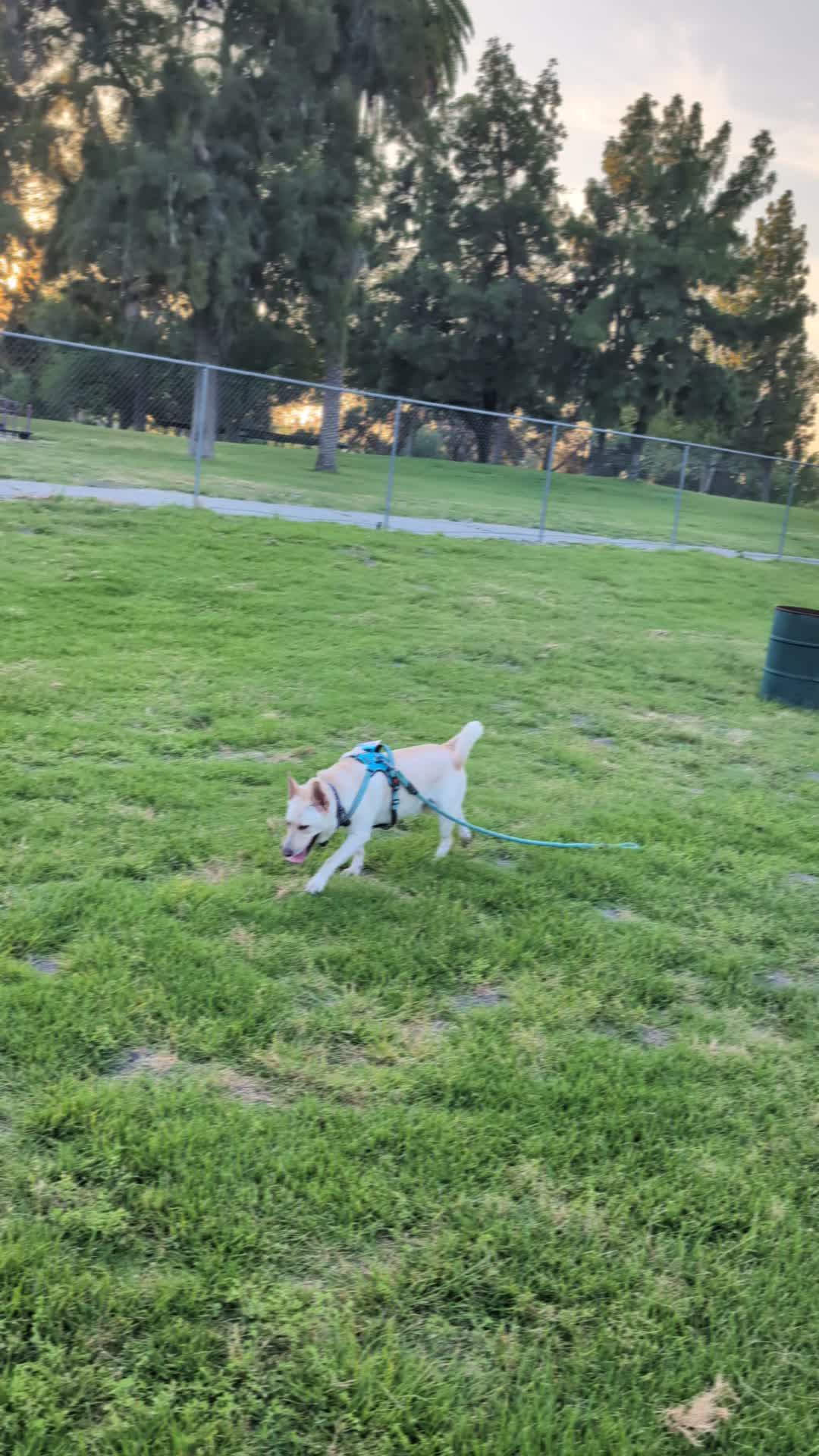 Video review of Whittier Narrows Regional Park