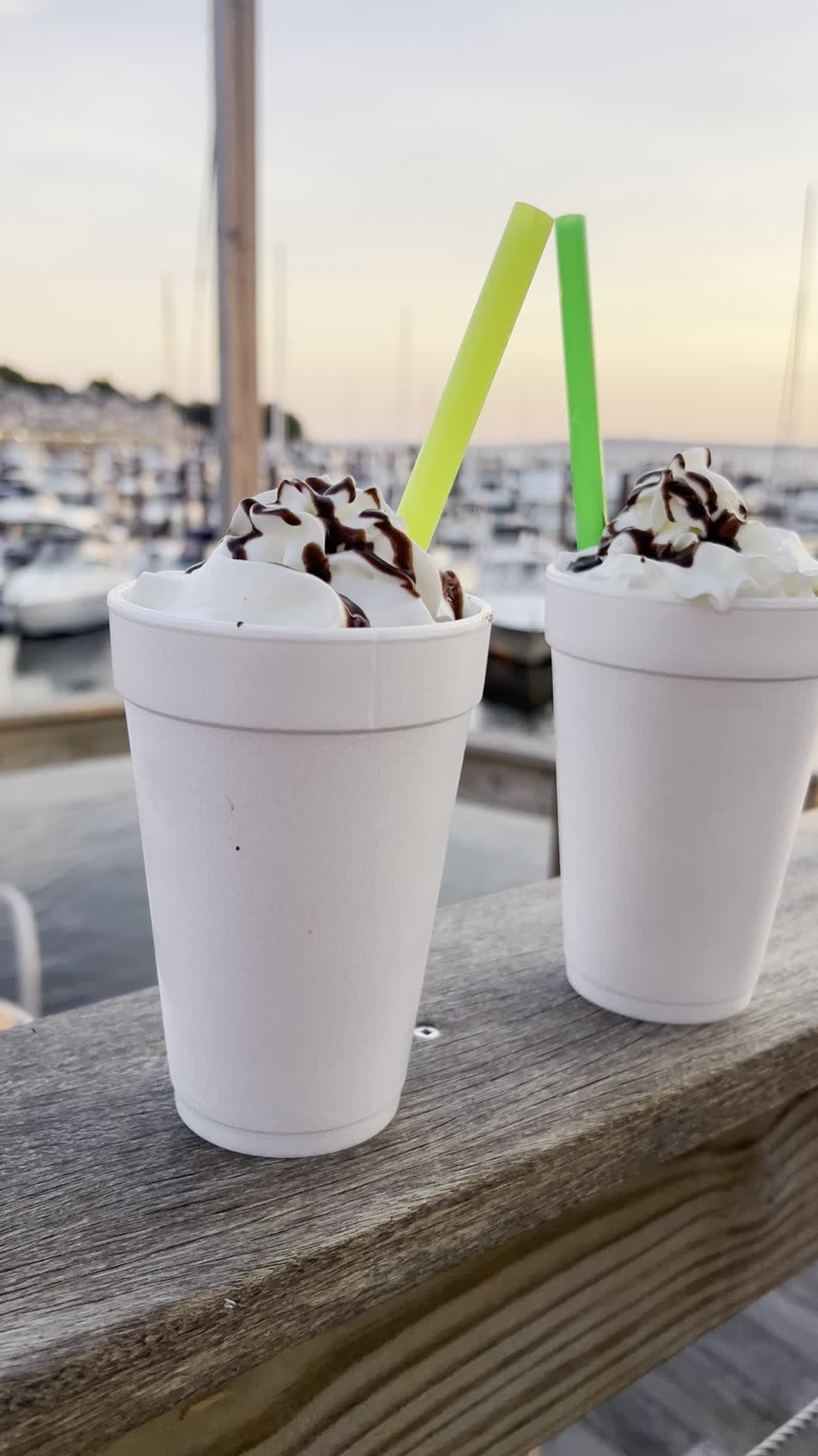 Video review of Tipsy Seagull