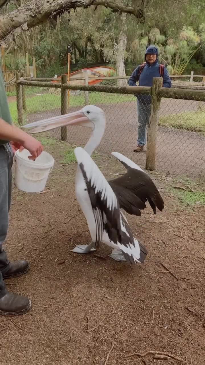 Caversham Wildlife Park