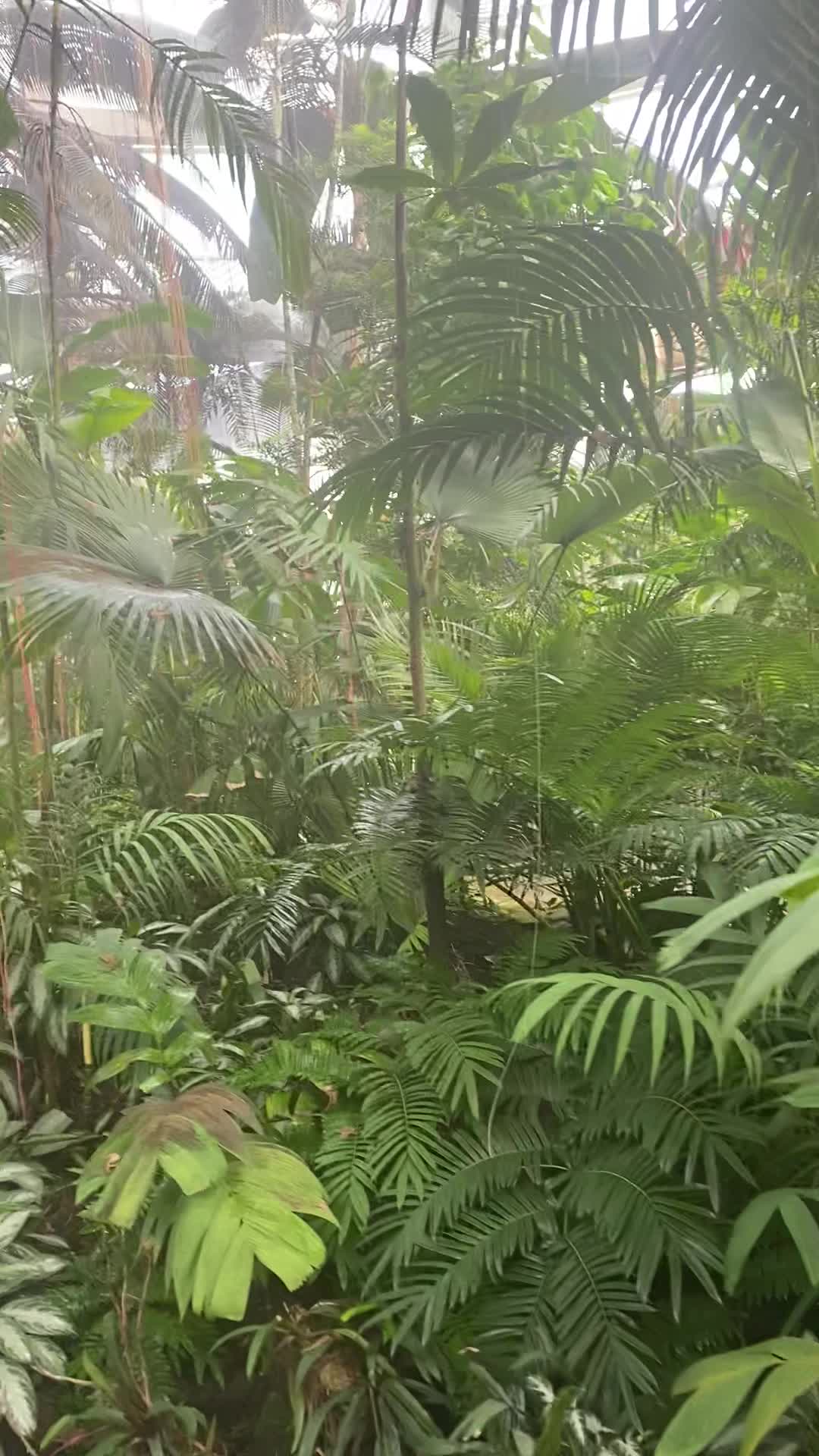 Video review of Atlanta Botanical Garden