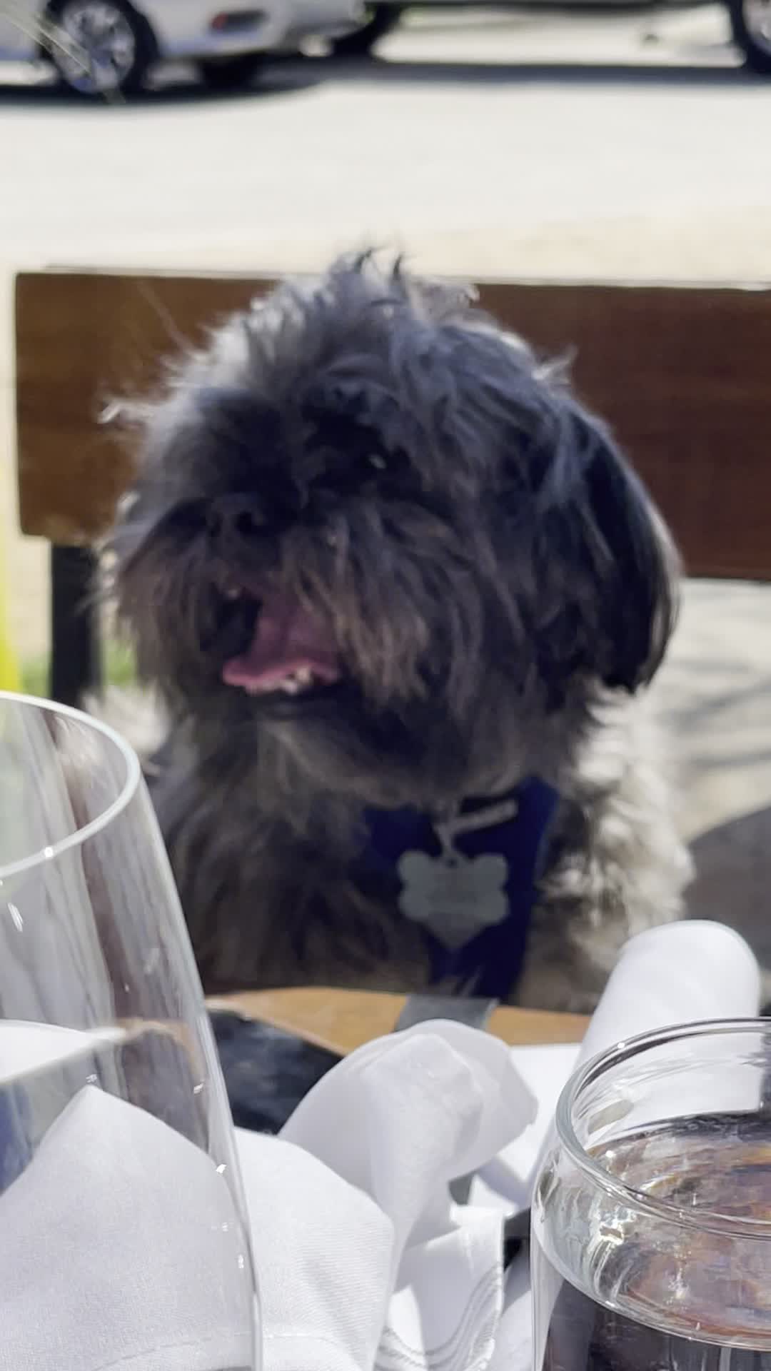 Video review of Pie Tap Pizza Workshop + Bar