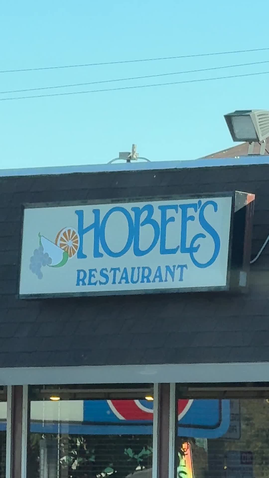 Video review of Hobee's