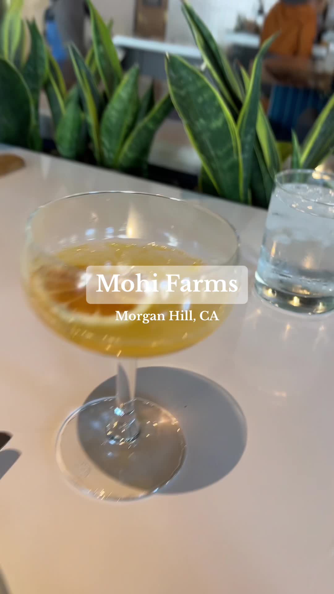 MOHI Farm