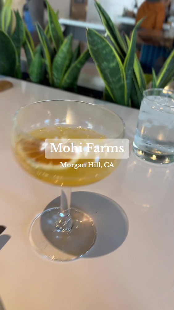 MOHI Farm