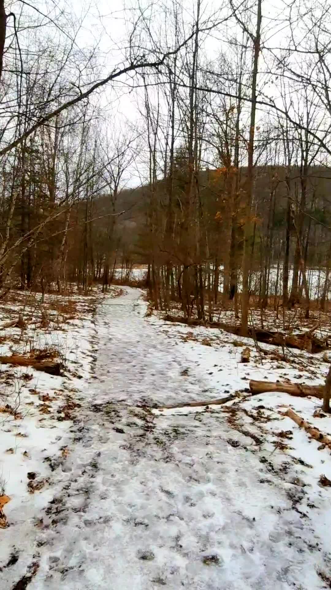 Nature Preserve