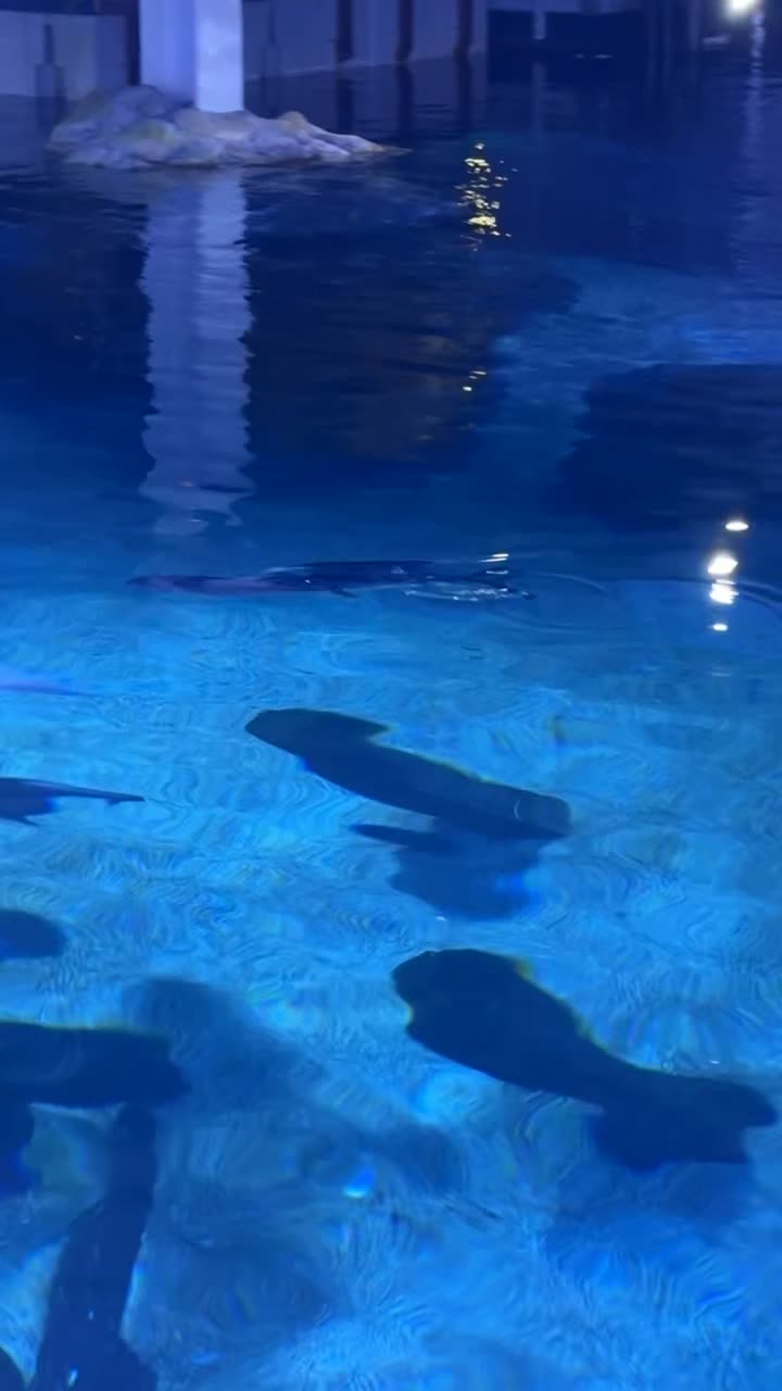 SEA LIFE at Mall of America