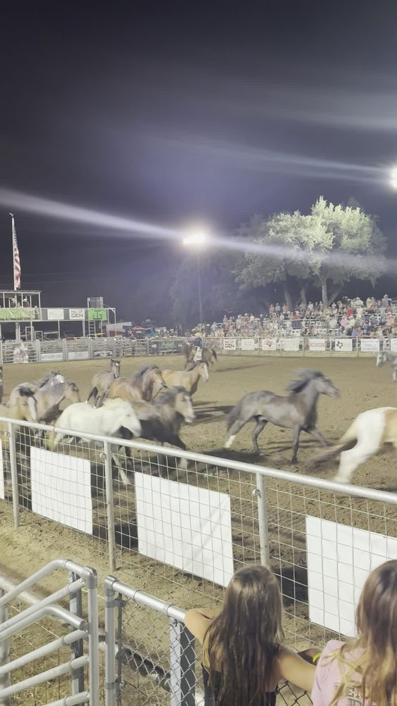 Wimberley Rodeo