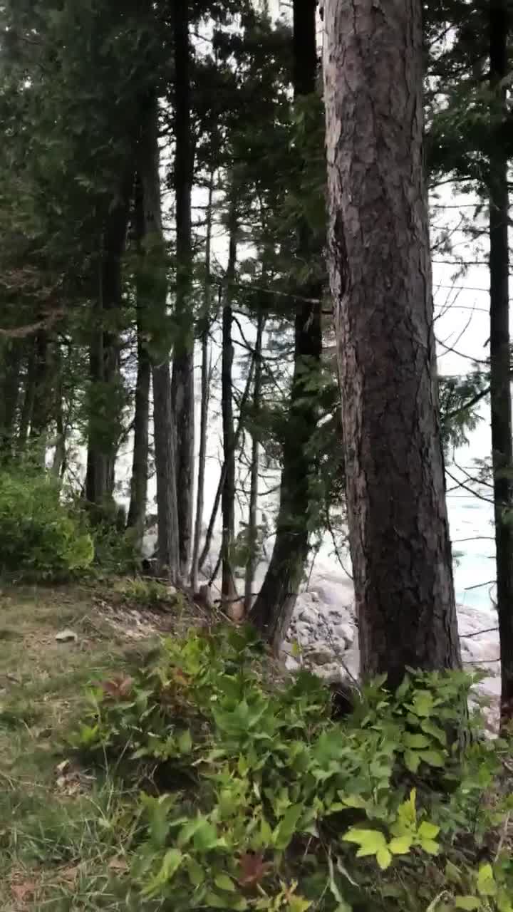 Mackinac island 