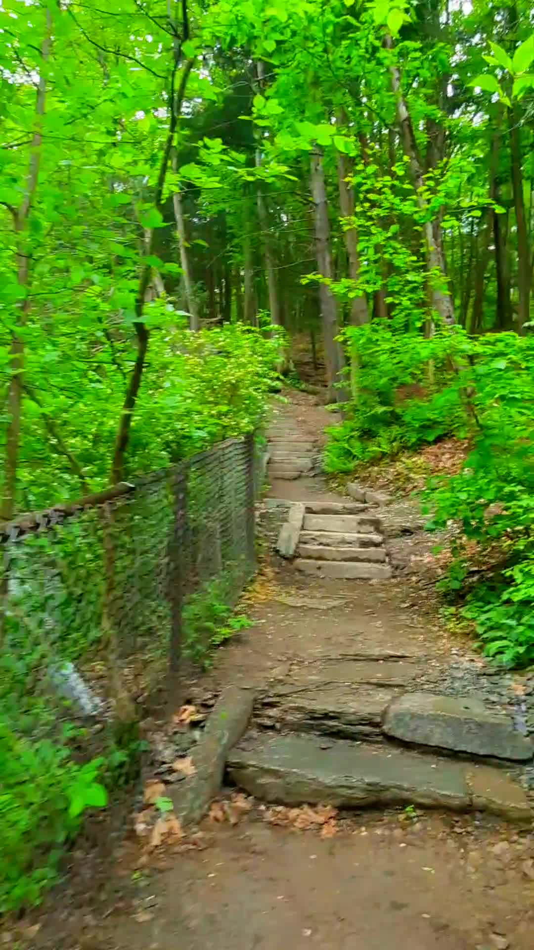 Buttermilk Falls State Park