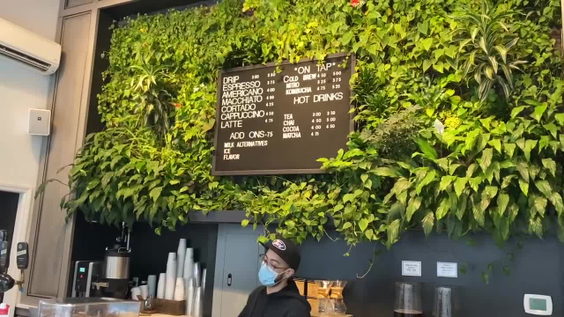 Hungry Ghost Coffee