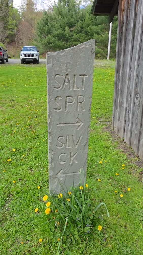 Salt Springs State Park