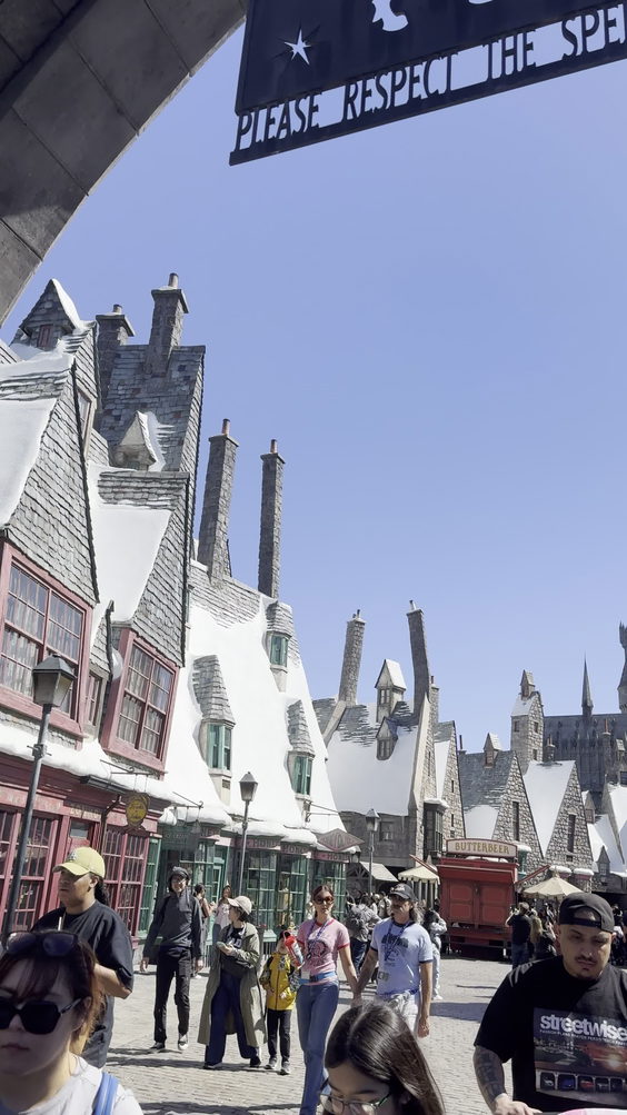 The Wizarding World of Harry Potter