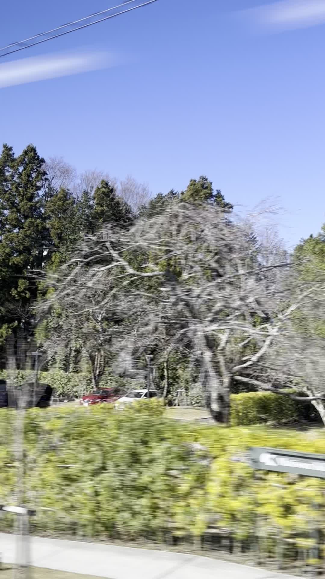 Mt. Fuji World Heritage Centre, Shizuoka (静岡県富士山世界遺産センター)