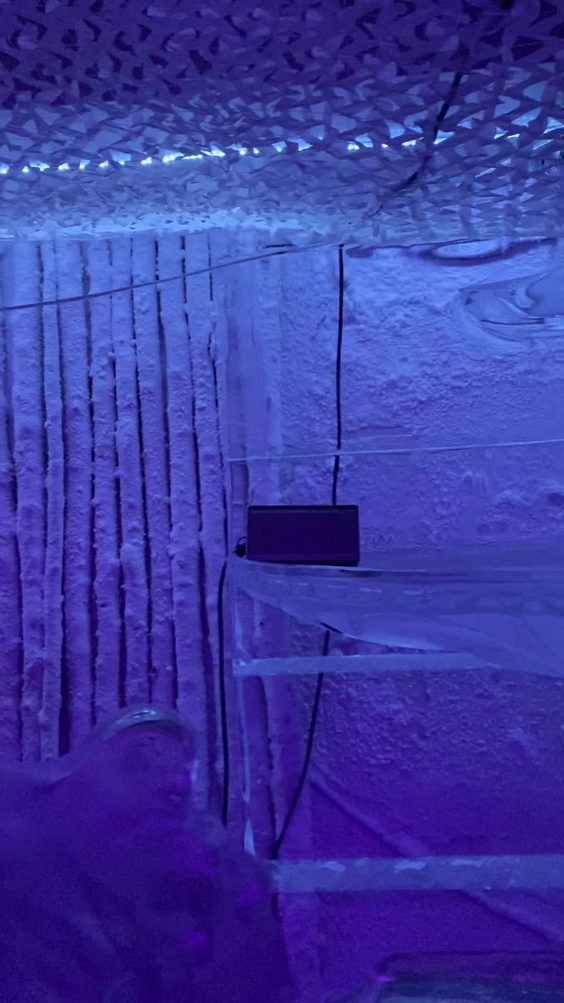 Ice Kube Bar