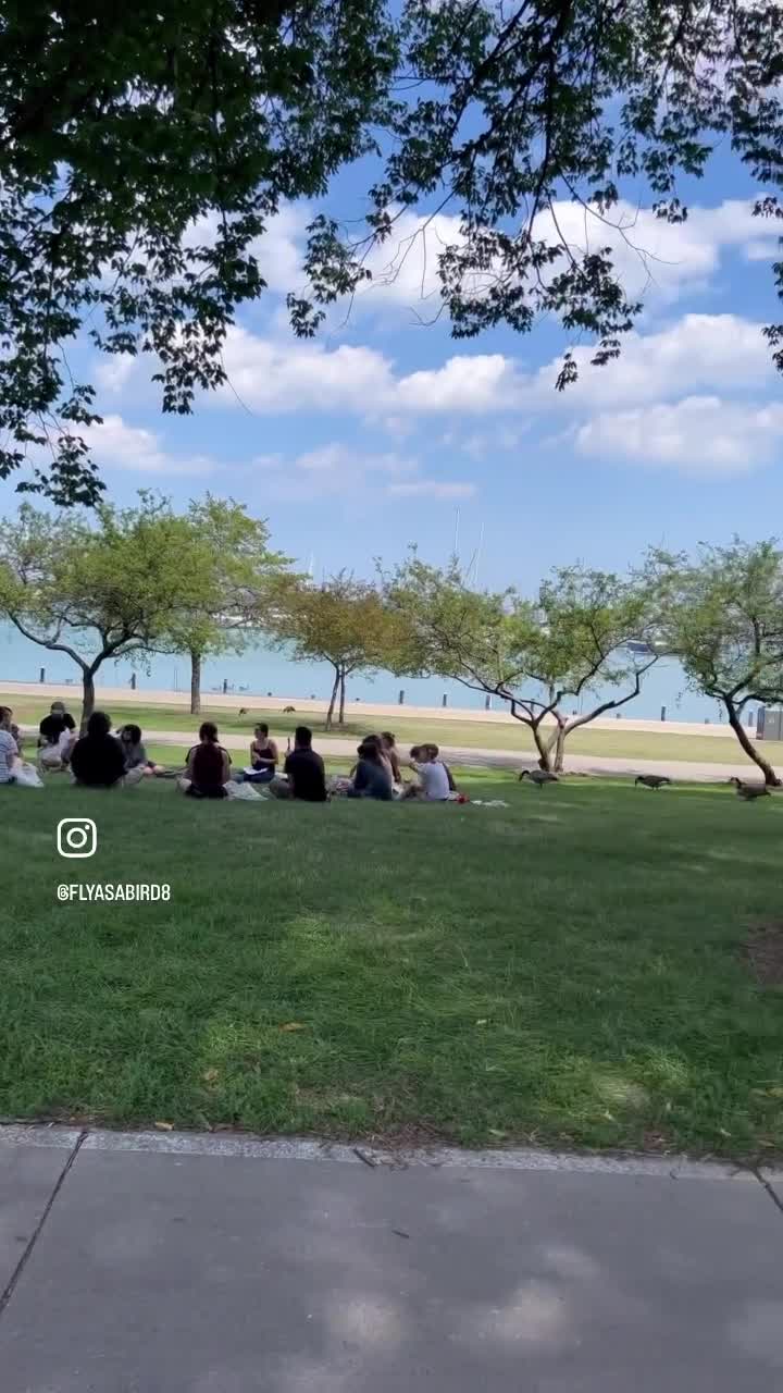 Chicago Lakefront Trail