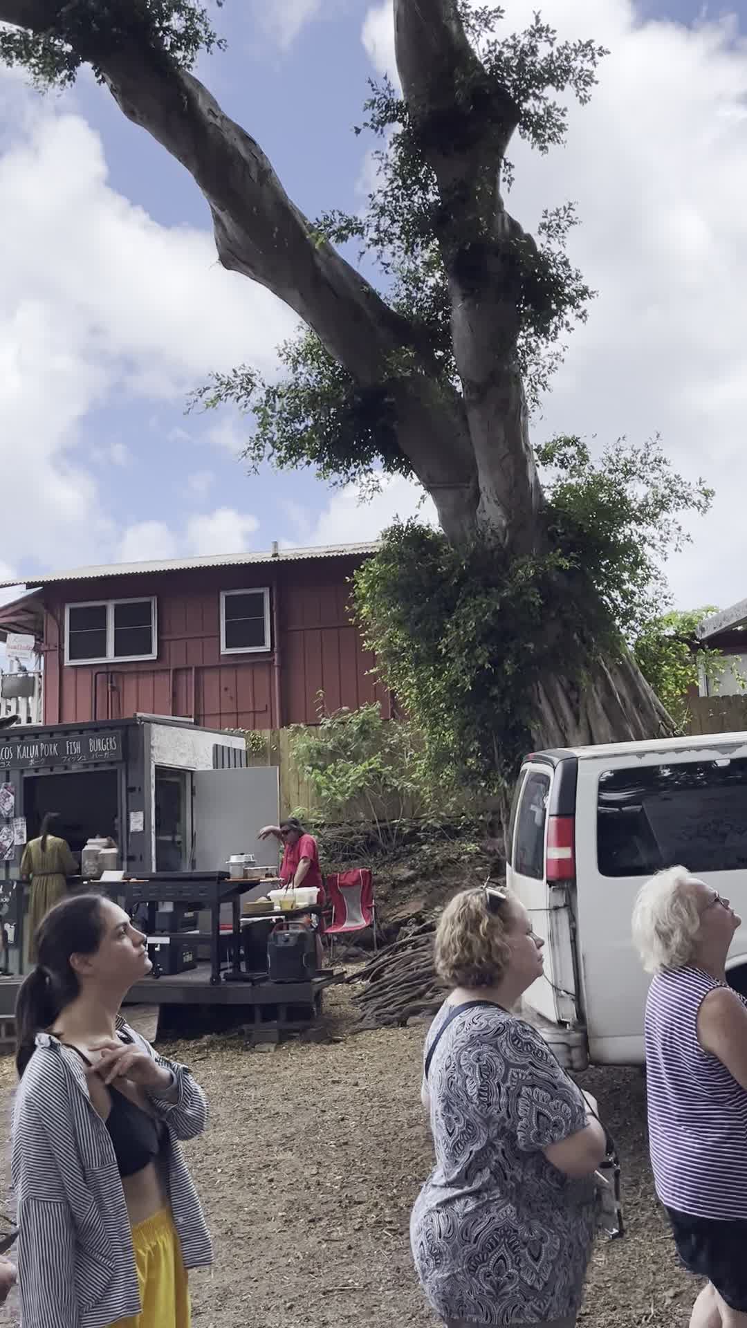 Giovani Shrimp Truck