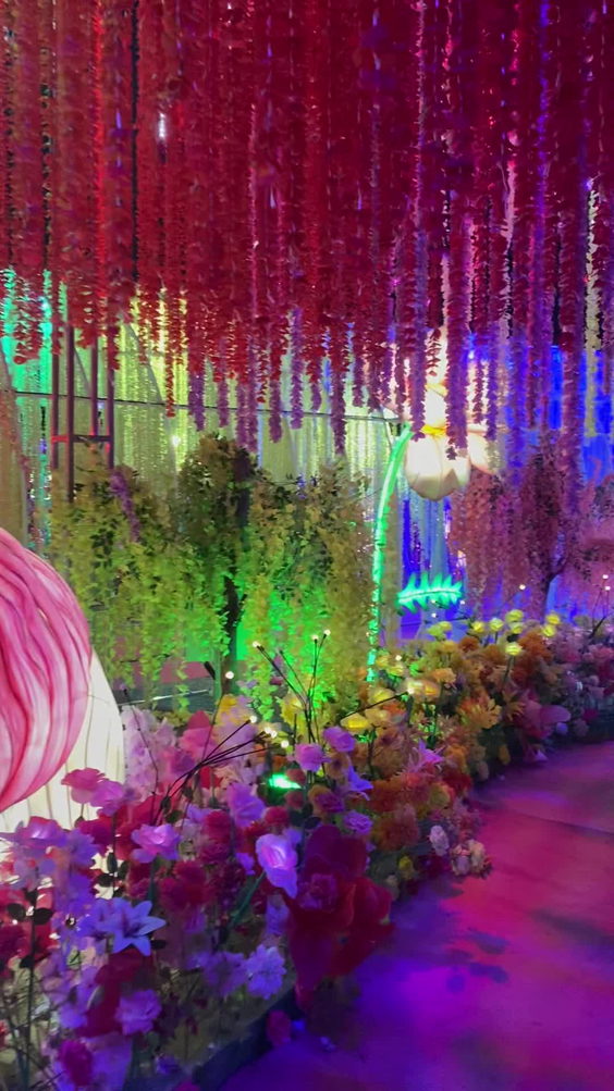 Imaginarium