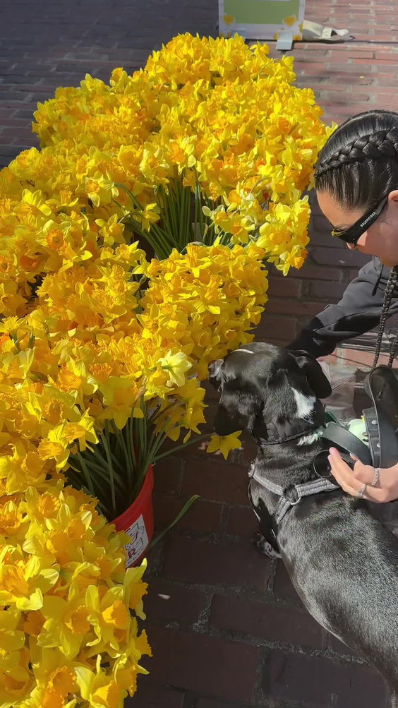 Pike place