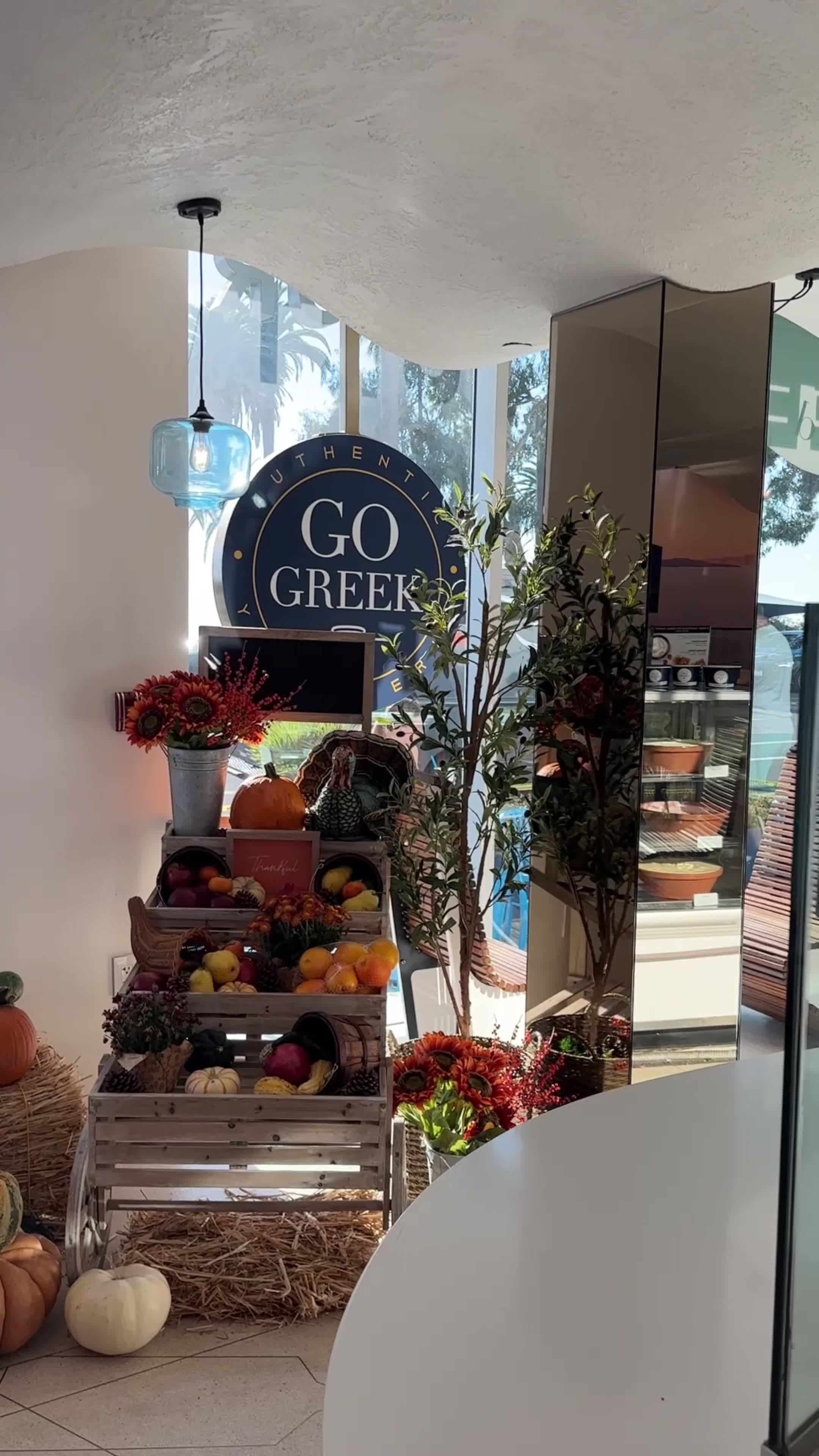 Video review of Go Greek Yogurt