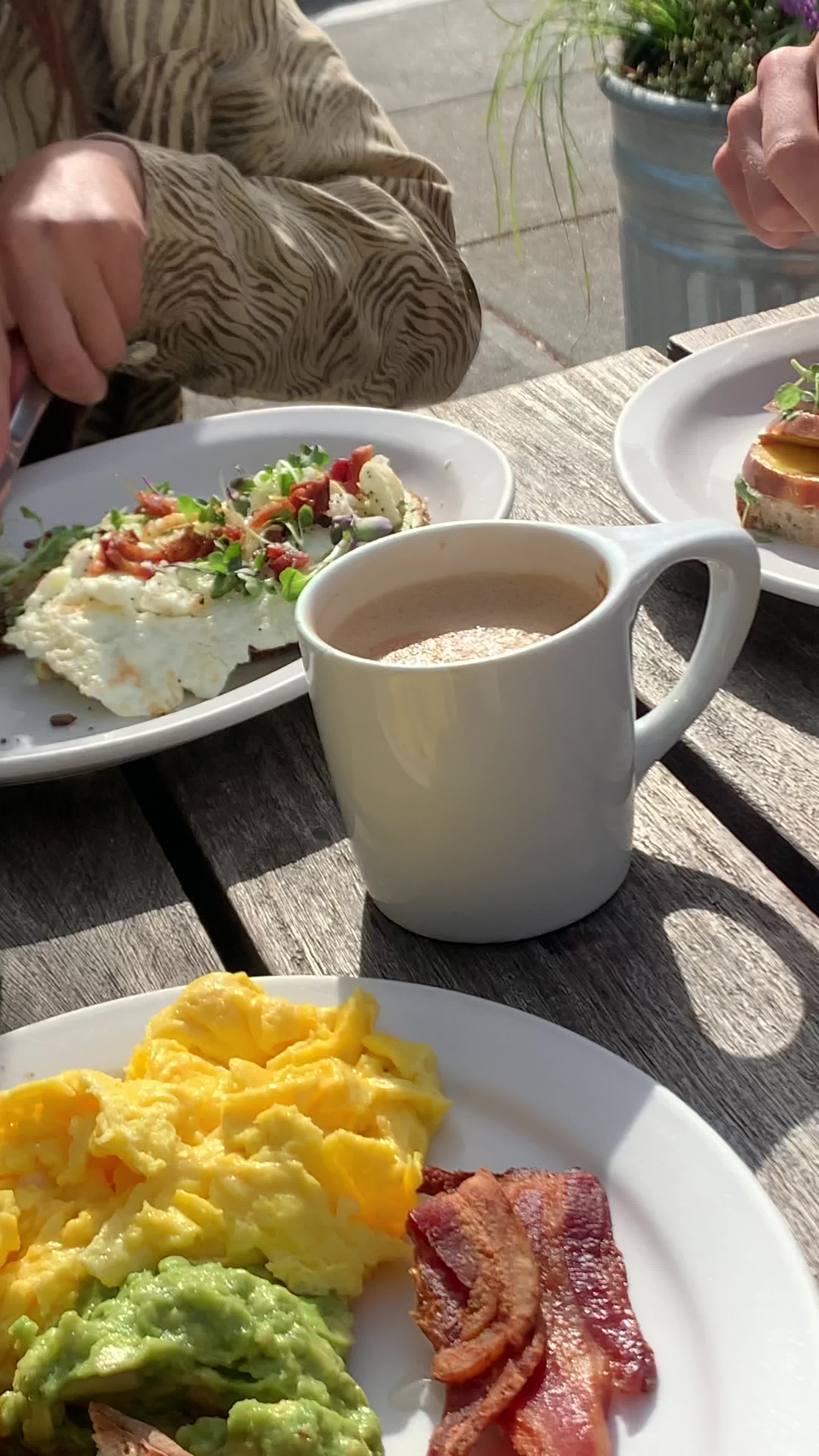 Video review of Equator Coffees