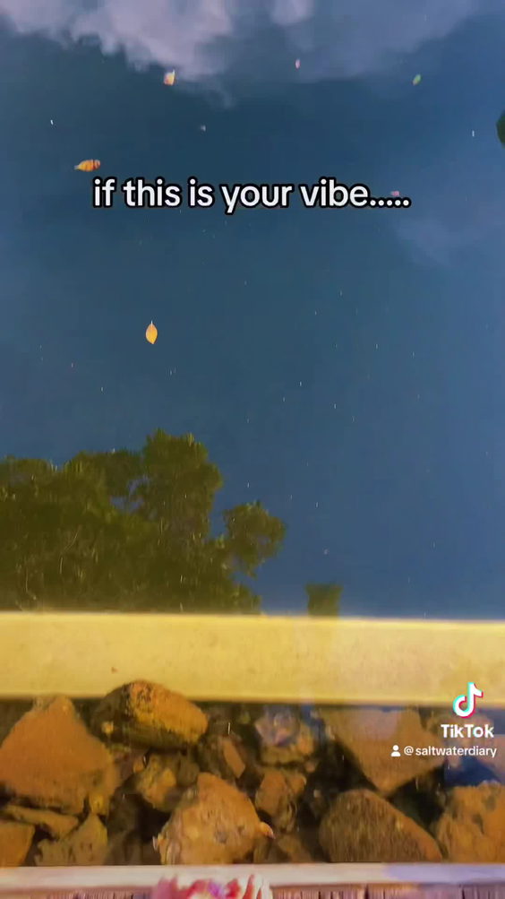 Guanabanas