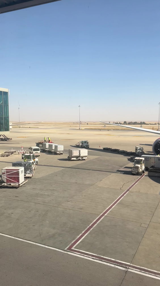 مطار الملكة علياء الدولي