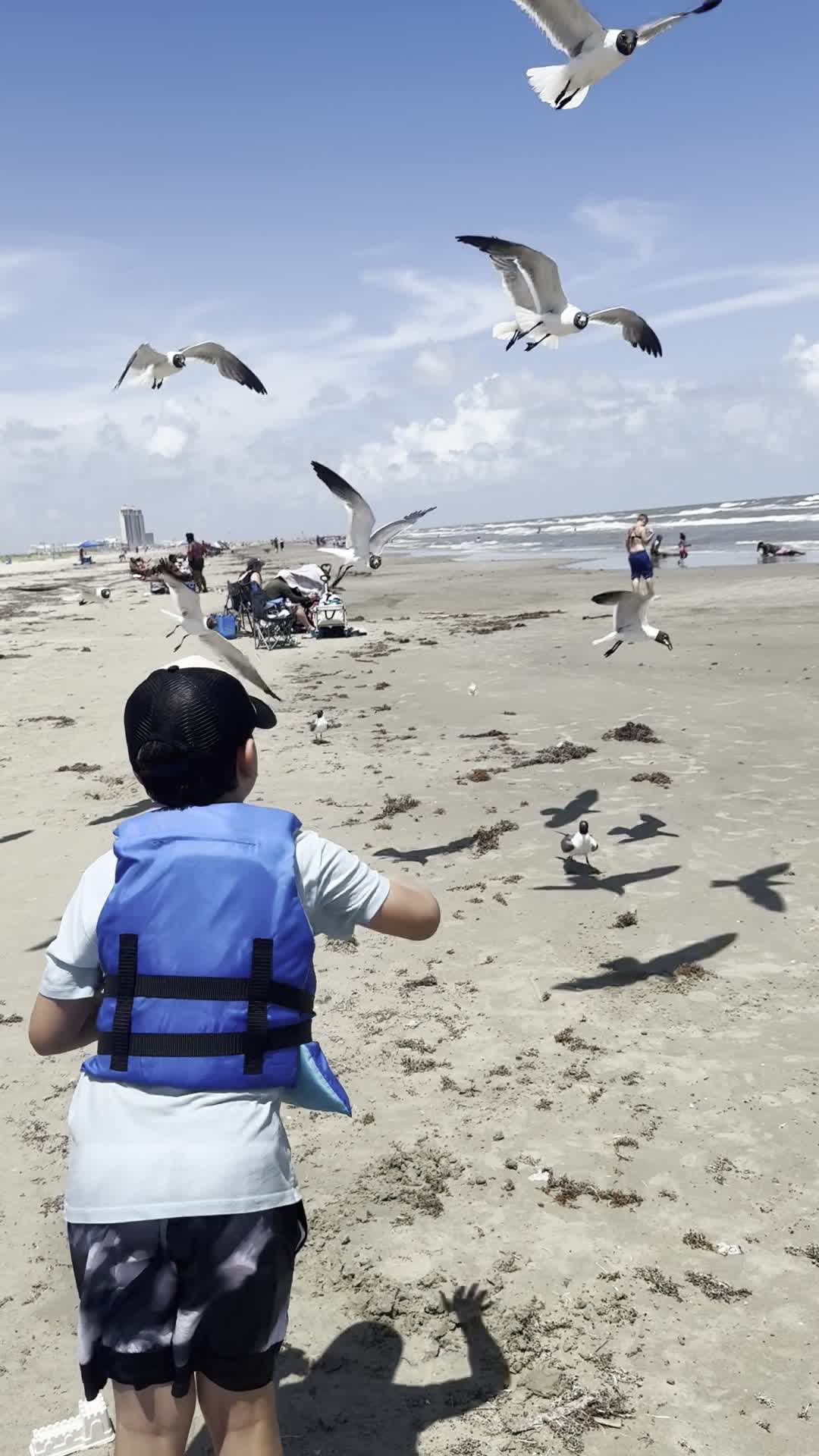 Galveston Island Historic Pleasure Pier
