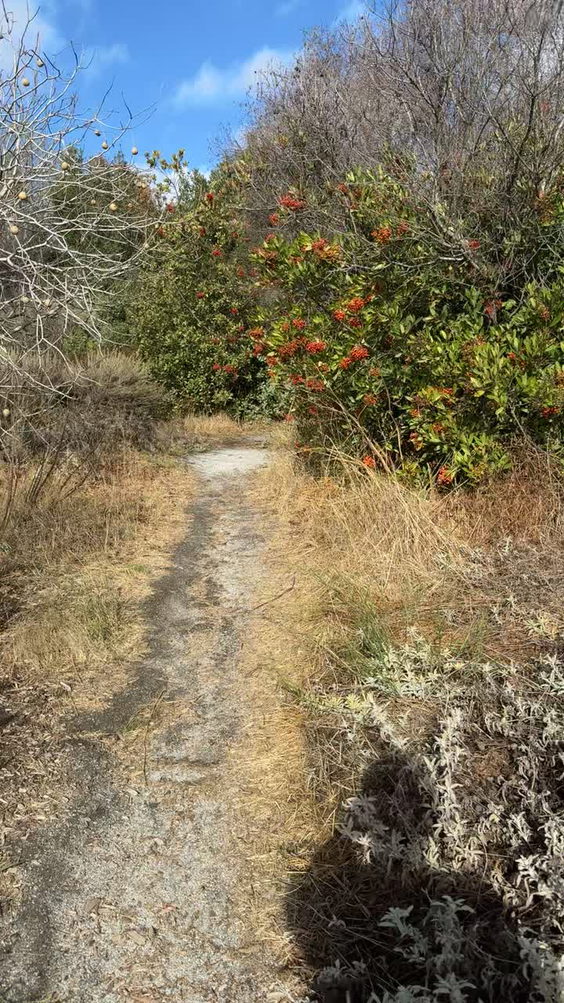 Ulistac Natural Area